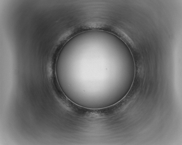 X0000112860635200908211321