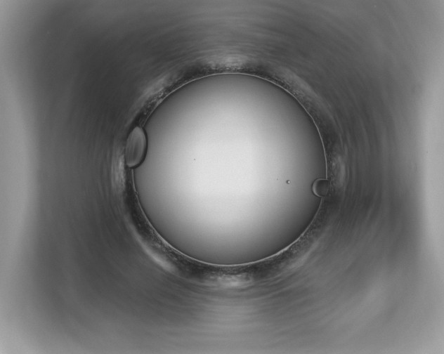 X0000112860638200908211321