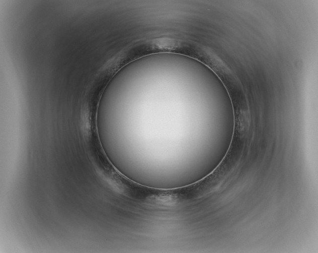 X0000112860639200908211321