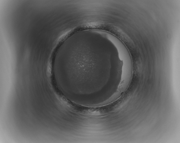 X0000112860640200908211322