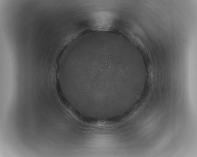 X0000112860641200908211322