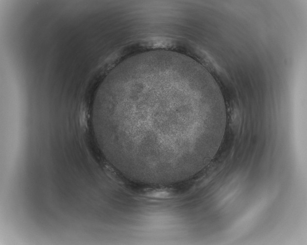X0000112860643200908211322