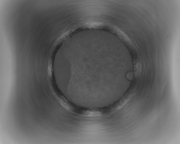 X0000112860644200908211322
