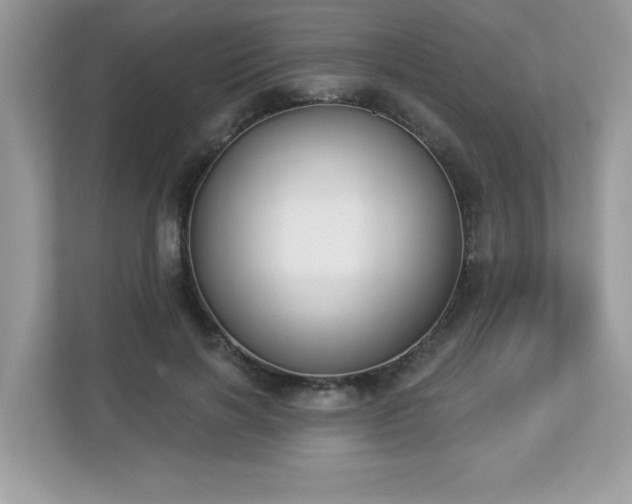 X0000112860646200908211322