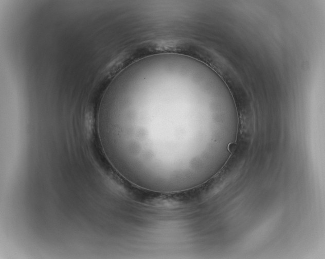 X0000112860648200908211322
