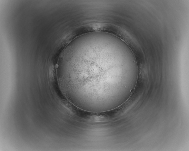 X0000112860650200908211322