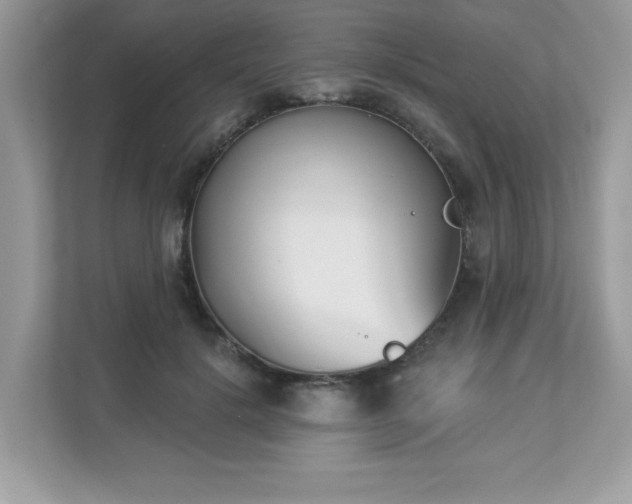 X0000112860652200908211322