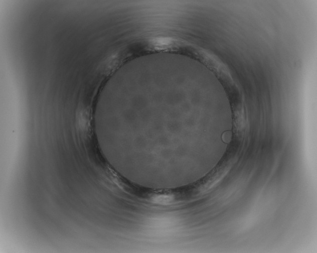 X0000112860653200908211322