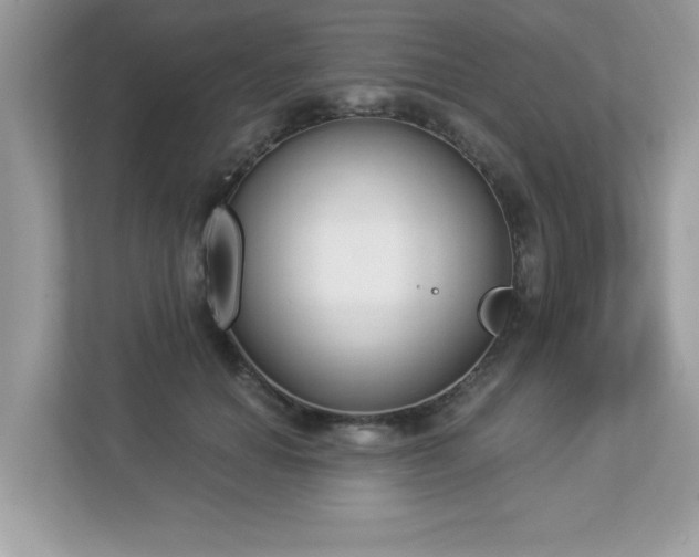 X0000112860654200908211322
