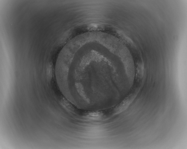 X0000112860659200908211322