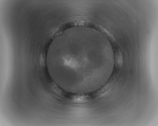 X0000112860661200908211322