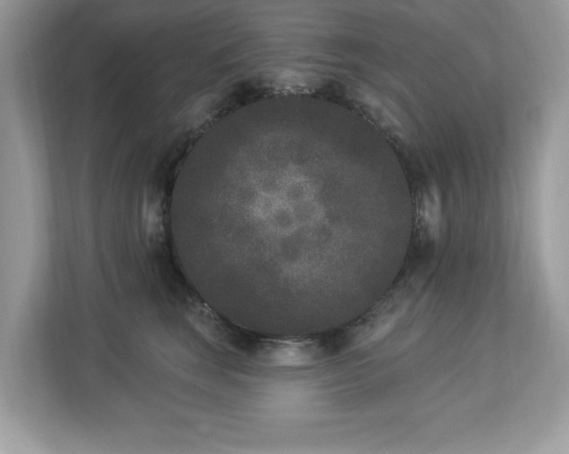 X0000112860663200908211322