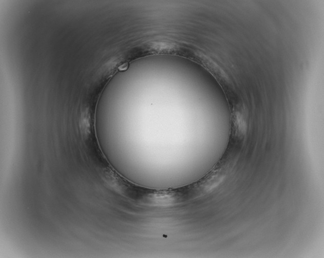 X0000112860668200908211322