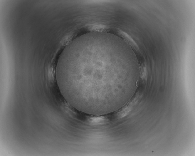 X0000112860669200908211322