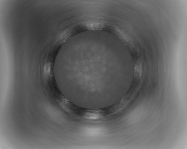 X0000112860671200908211322