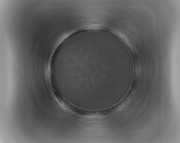 X0000112860674200908211321