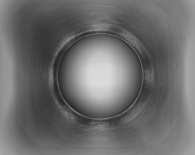 X0000112860676200908211321