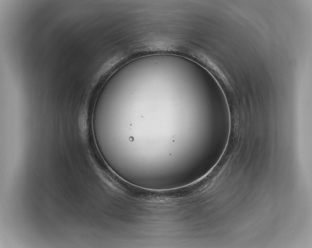 X0000112860677200908211321