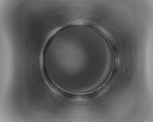 X0000112860678200908211321
