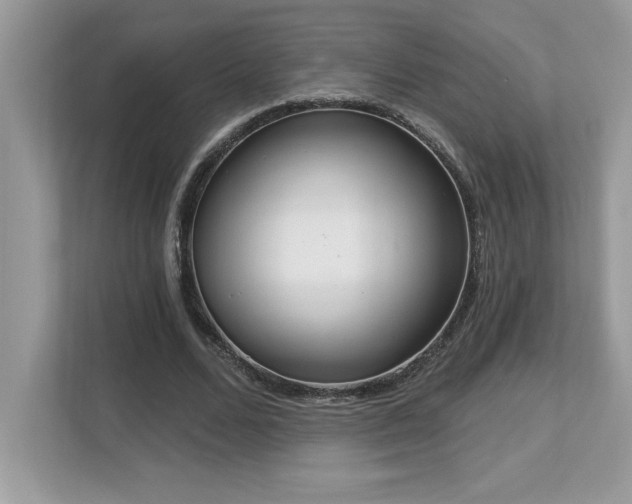 X0000112860680200908211321