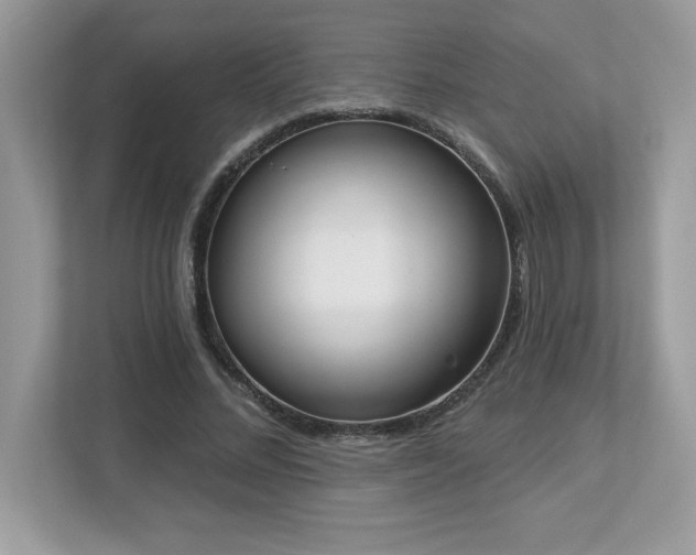 X0000112860684200908211321