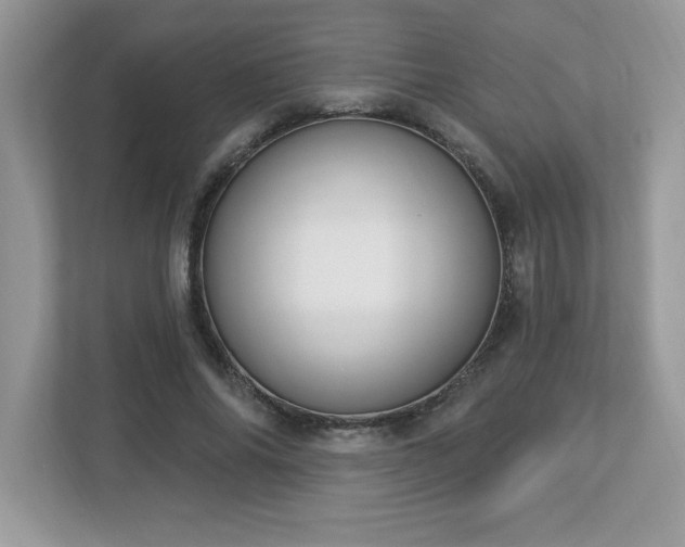 X0000112860686200908211321