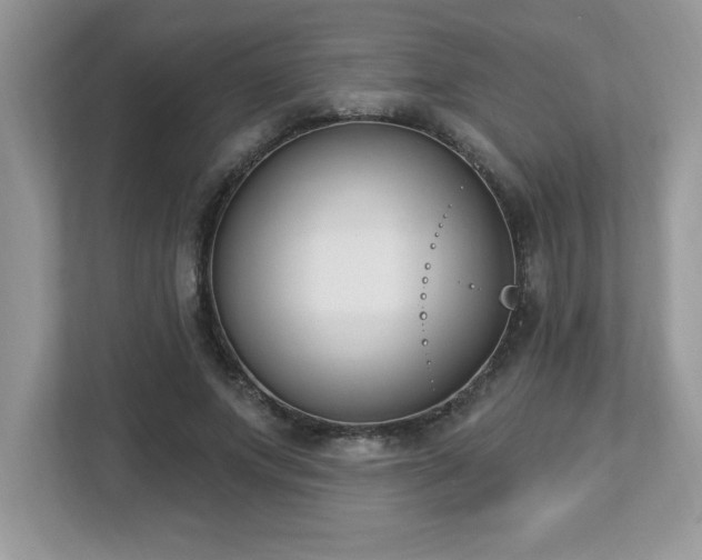 X0000112860687200908211321