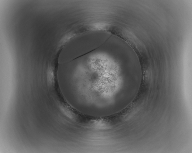 X0000112860688200908211321