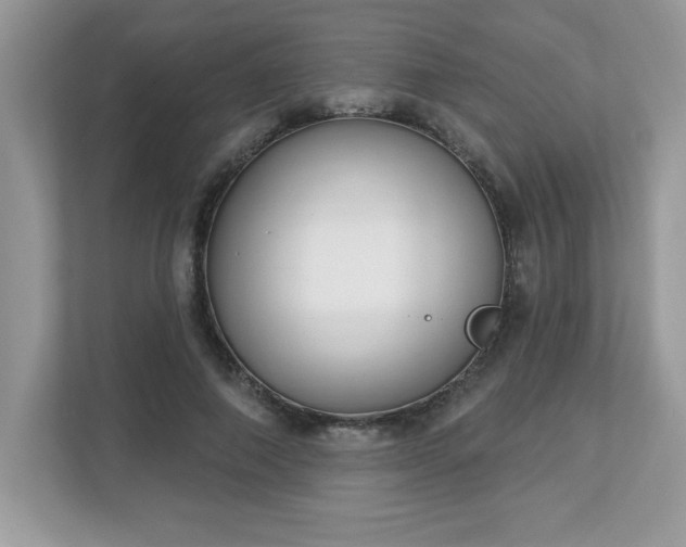 X0000112860690200908211321