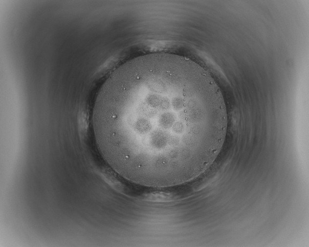 X0000112860691200908211321