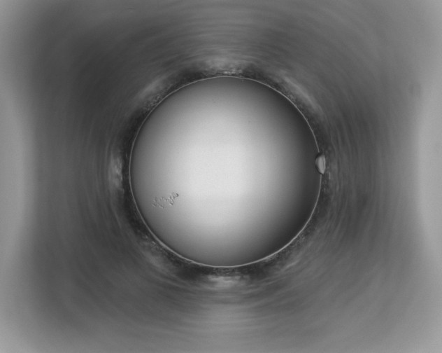 X0000112860693200908211321