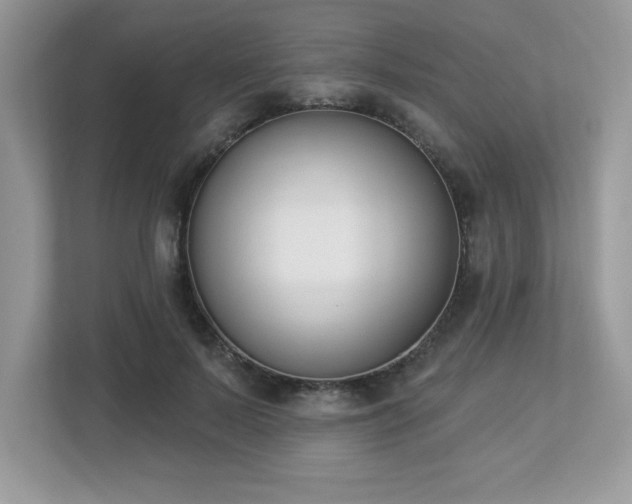 X0000112860695200908211321
