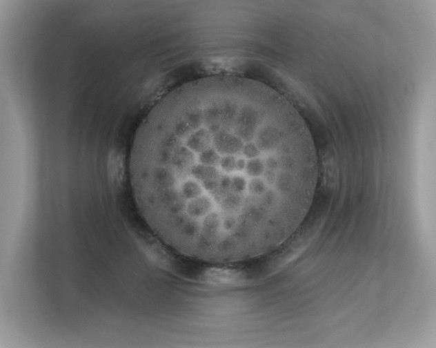 X0000112860699200908211321