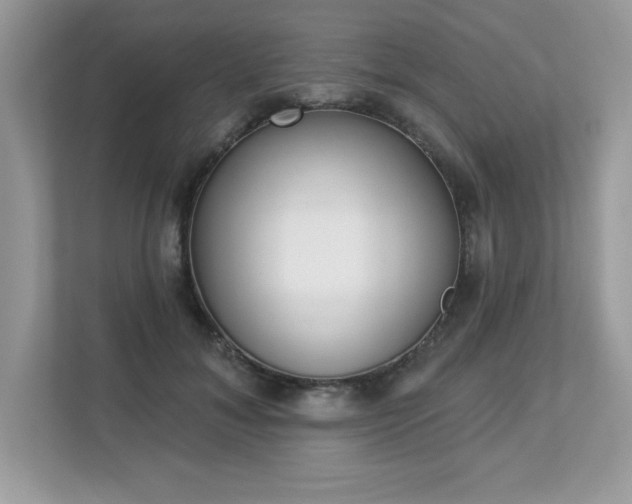 X0000112860700200908211321