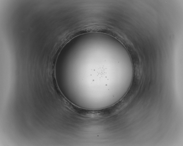 X0000112860701200908211321