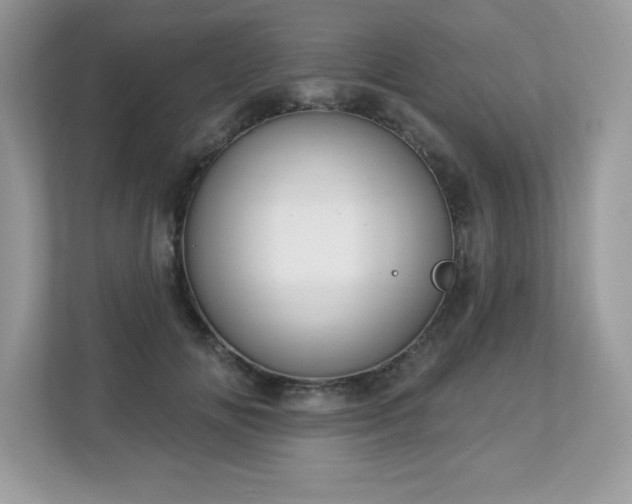 X0000112860702200908211321
