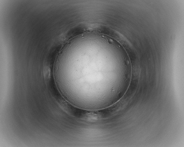 X0000112860703200908211321