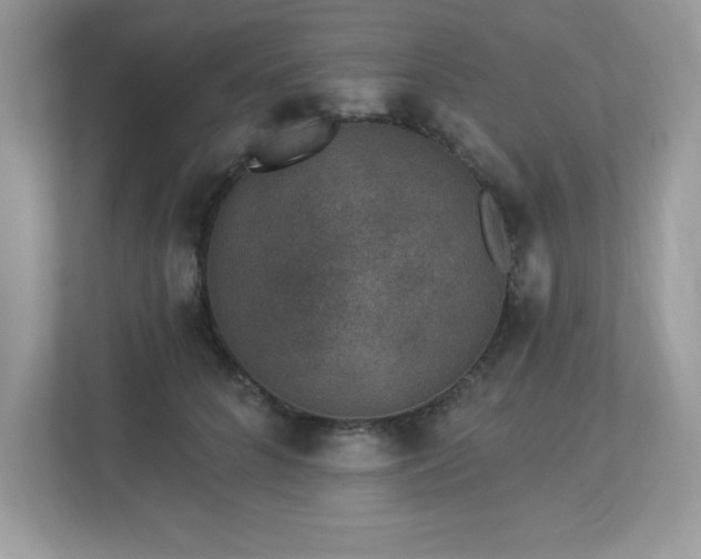 X0000112860704200908211321