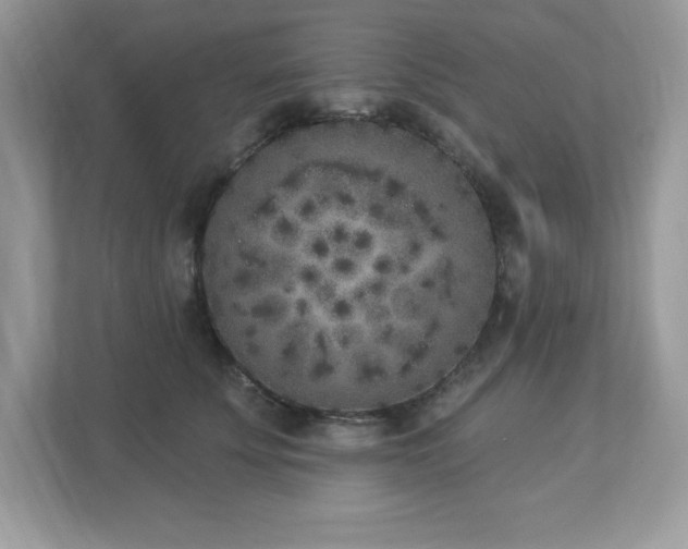 X0000112860707200908211321