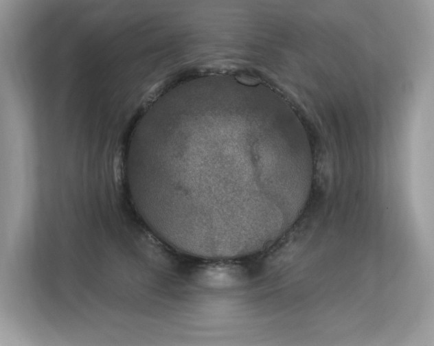 X0000112860708200908211321