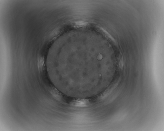 X0000112860711200908211321