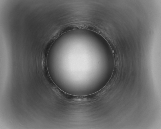 X0000112860712200908211321