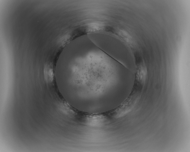 X0000112860716200908211321