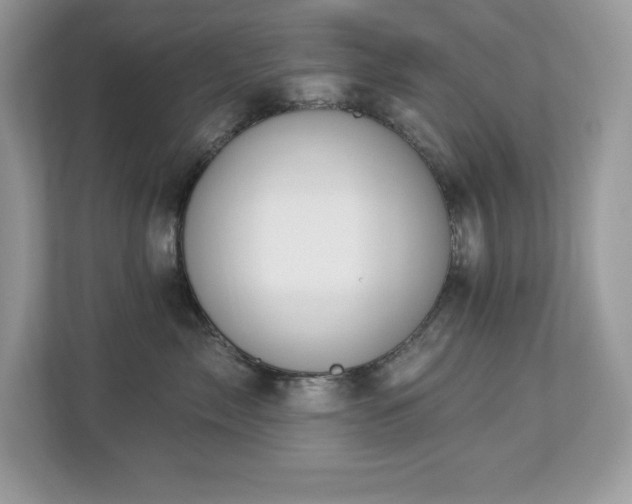 X0000112860717200908211321