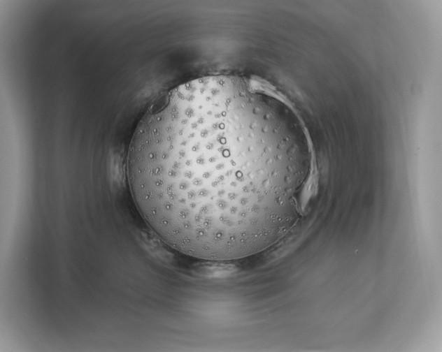 X0000112860719200908211321