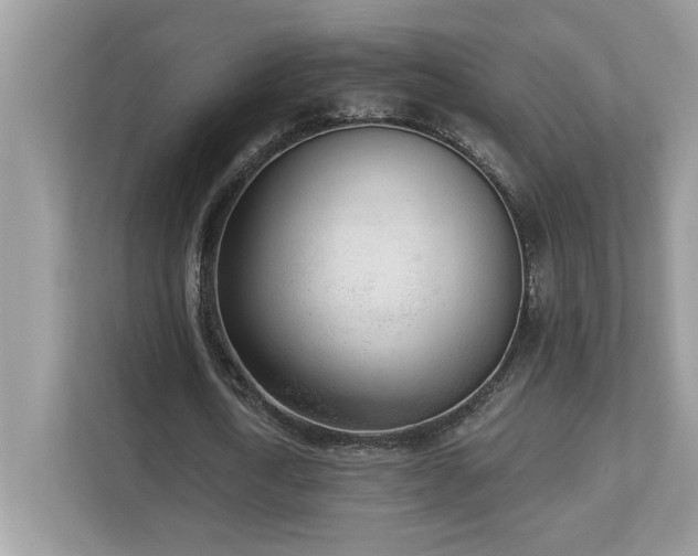 X0000112860722200908211320