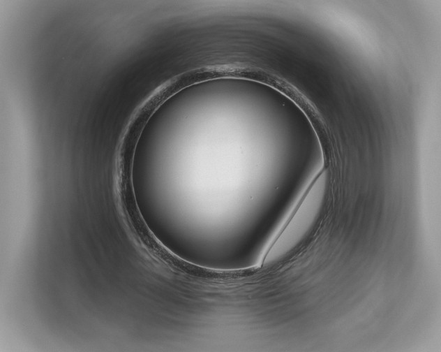 X0000112860724200908211320
