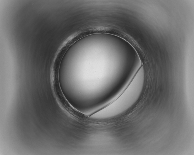 X0000112860726200908211320
