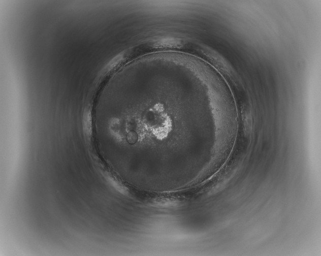 X0000112860729200908211320