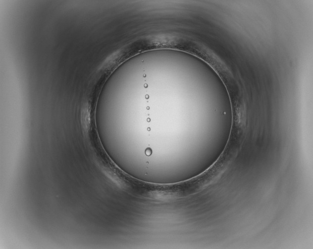 X0000112860733200908211320